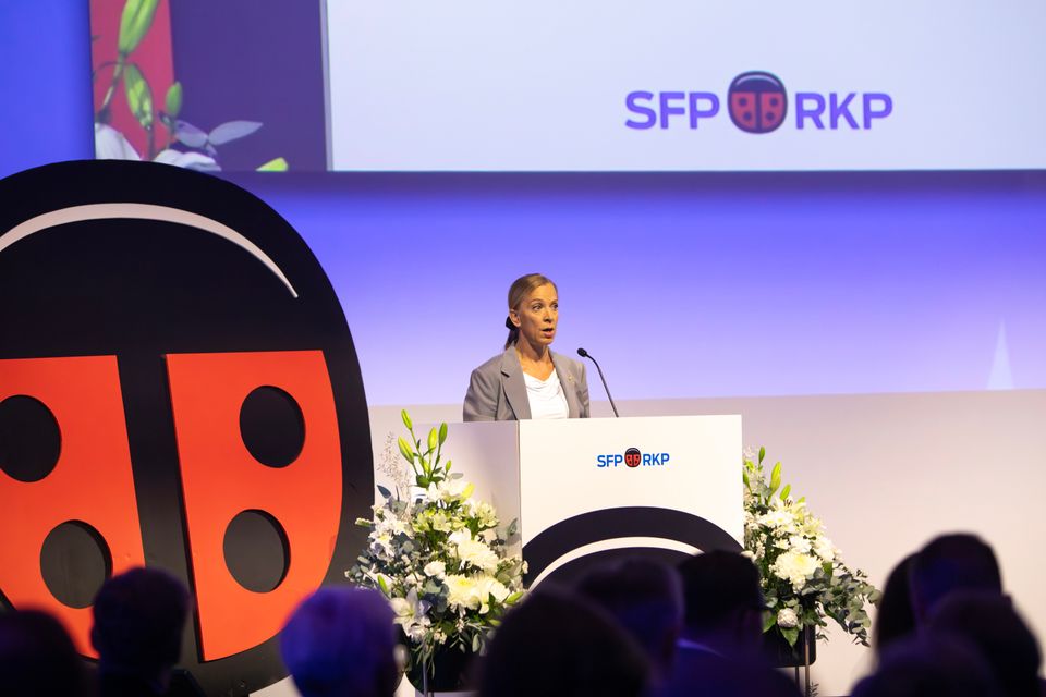 Bergqvist: Tarvitsemme Lasten Suomi -ohjelman | Suomen ruotsalainen kansanpuolue r.p.