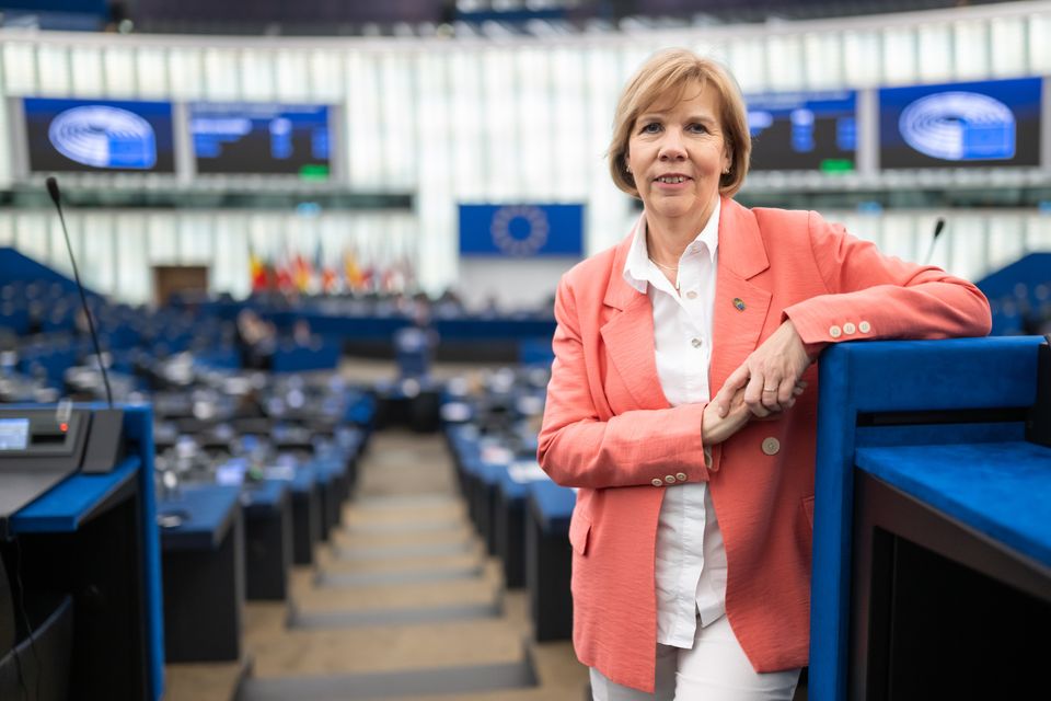 Henriksson: Nyt yksinkertaistamme ja digitalisoimme EU:n tuotelainsäädäntöä! | Suomen ruotsalainen kansanpuolue r.p.