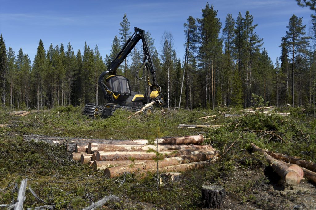 Tynkkynen puolustaa metsäteollisuutta Sofia Virran "banaanivaltio"-syytöksiltä: Metsäteollisuus tarvitsee puolustajaa Virran hengenheimolaisia vastaan - Suomen Uutiset